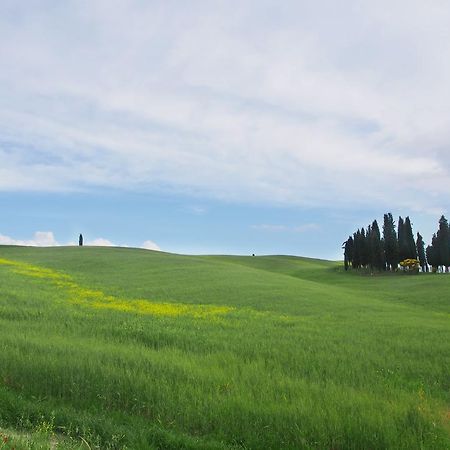 Agriturismo Santa Maria Torrita di Siena Exterior photo