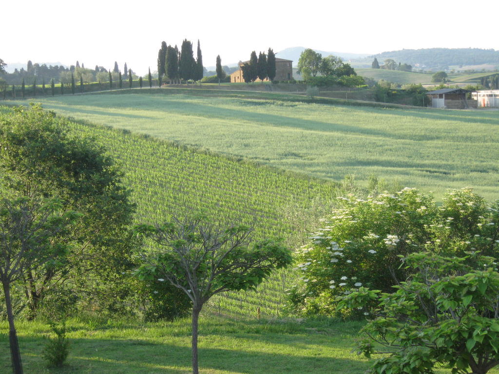 Agriturismo Santa Maria Torrita di Siena Exterior photo