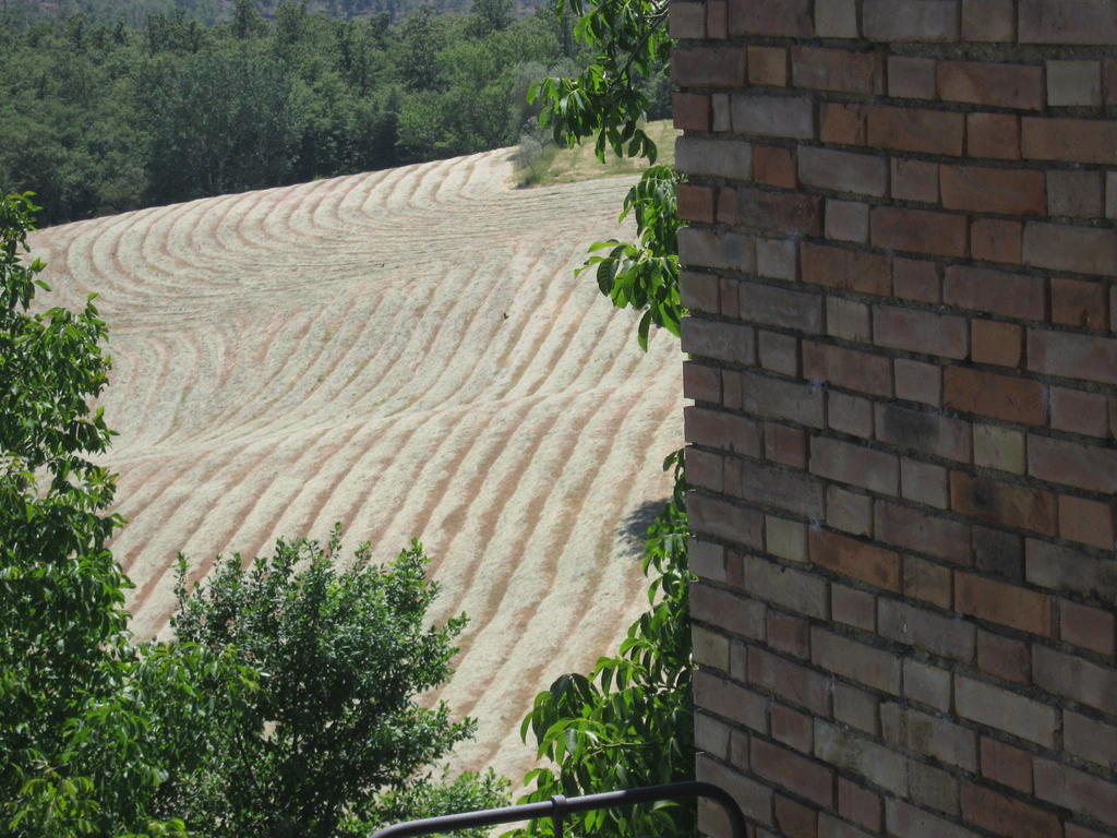 Agriturismo Santa Maria Torrita di Siena Exterior photo