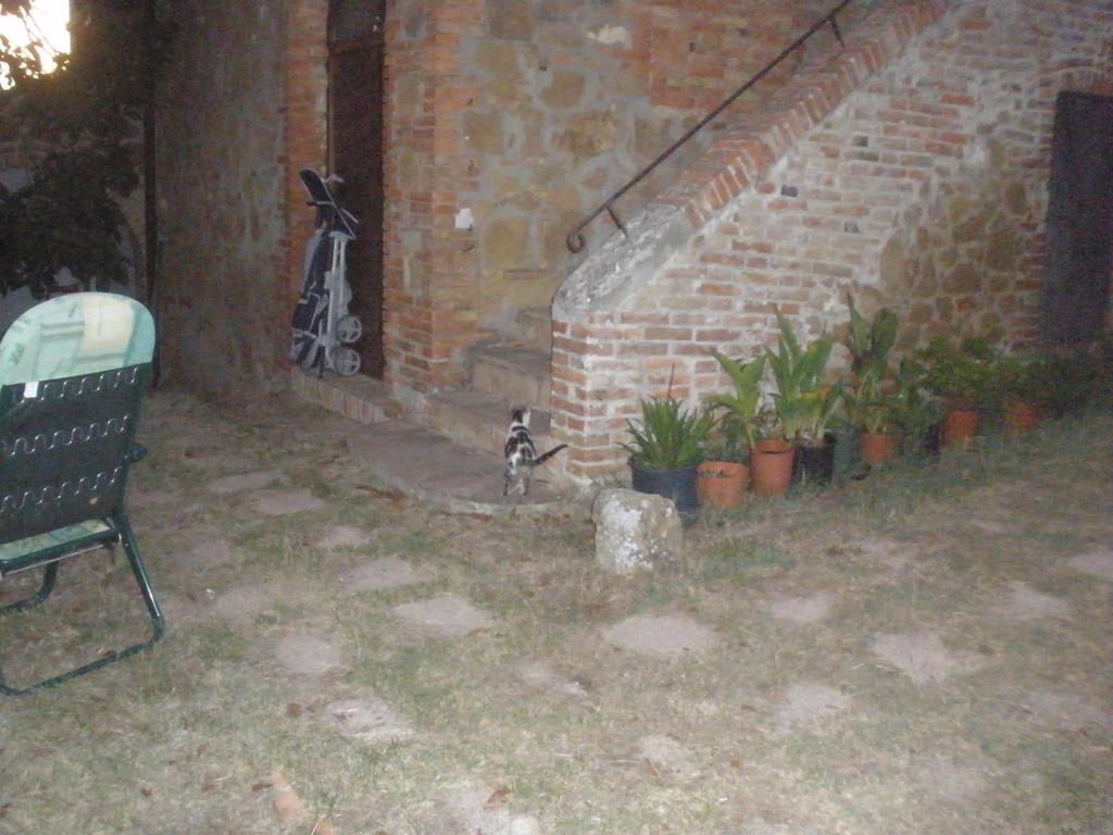 Agriturismo Santa Maria Torrita di Siena Exterior photo
