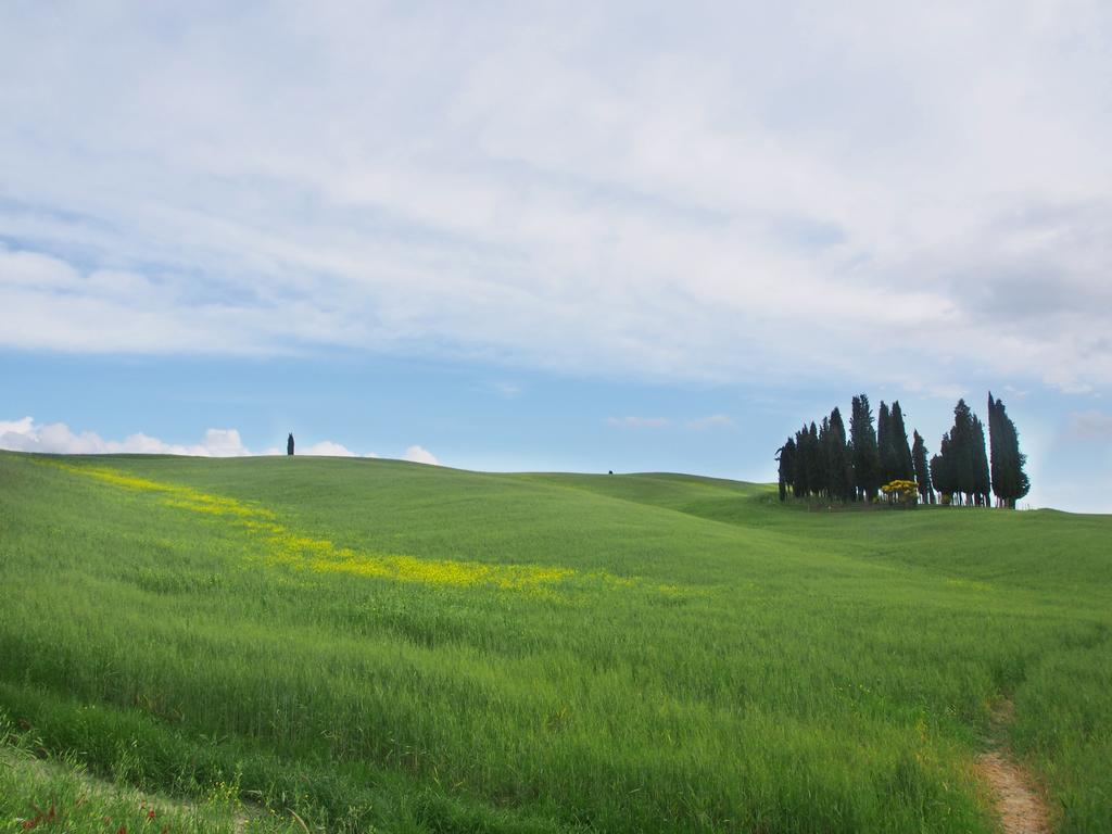 Agriturismo Santa Maria Torrita di Siena Exterior photo