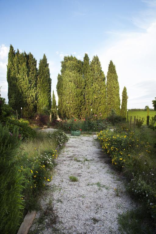Agriturismo Santa Maria Torrita di Siena Exterior photo
